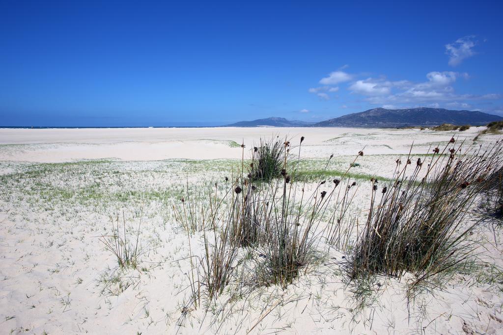 Apartament Blue Fin Tarifa Zewnętrze zdjęcie
